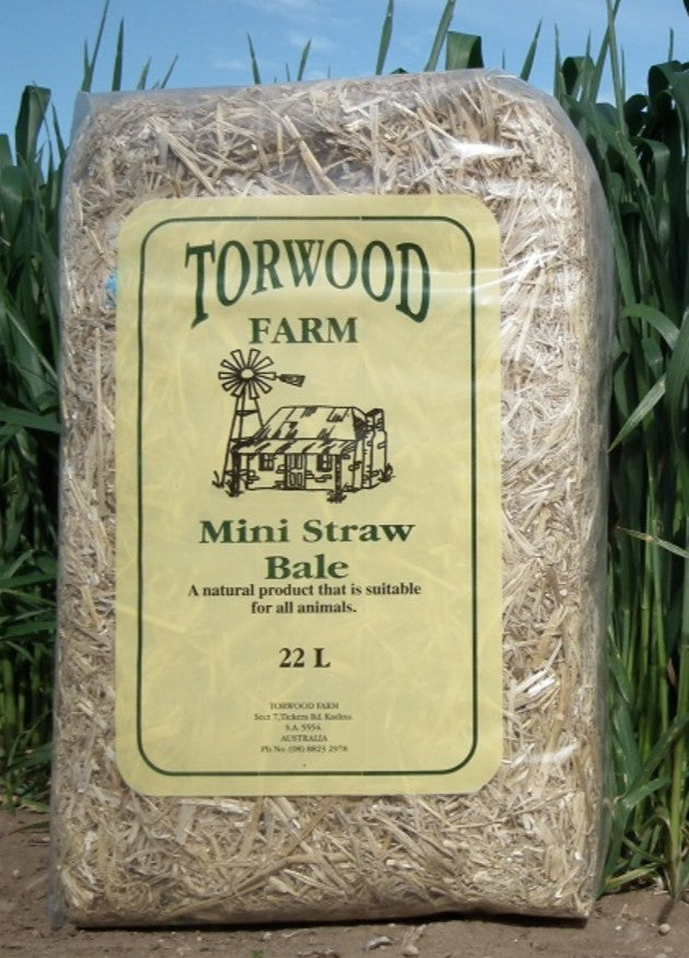 Torwood Farm Mini Rye Grass Bale22L
