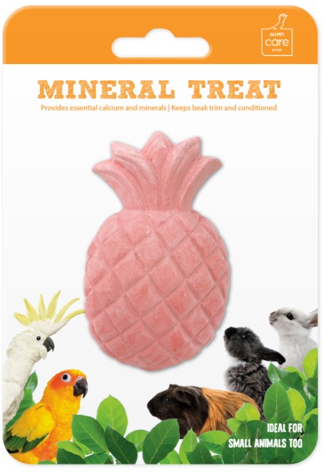 AVIAN CARE Mineral Stone Pineapple