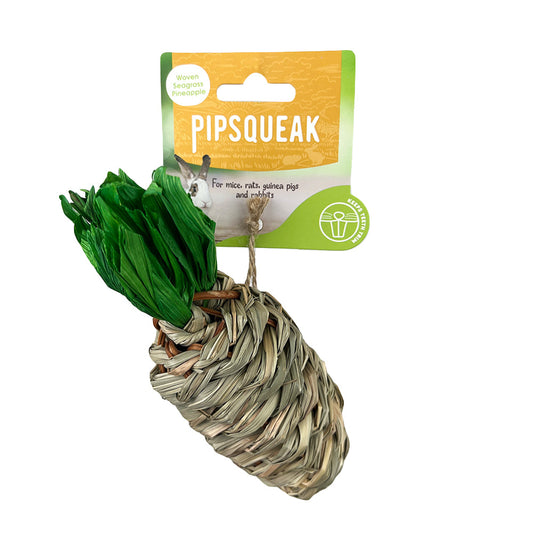 PIPSQUEAK Chew Seagrass Radish