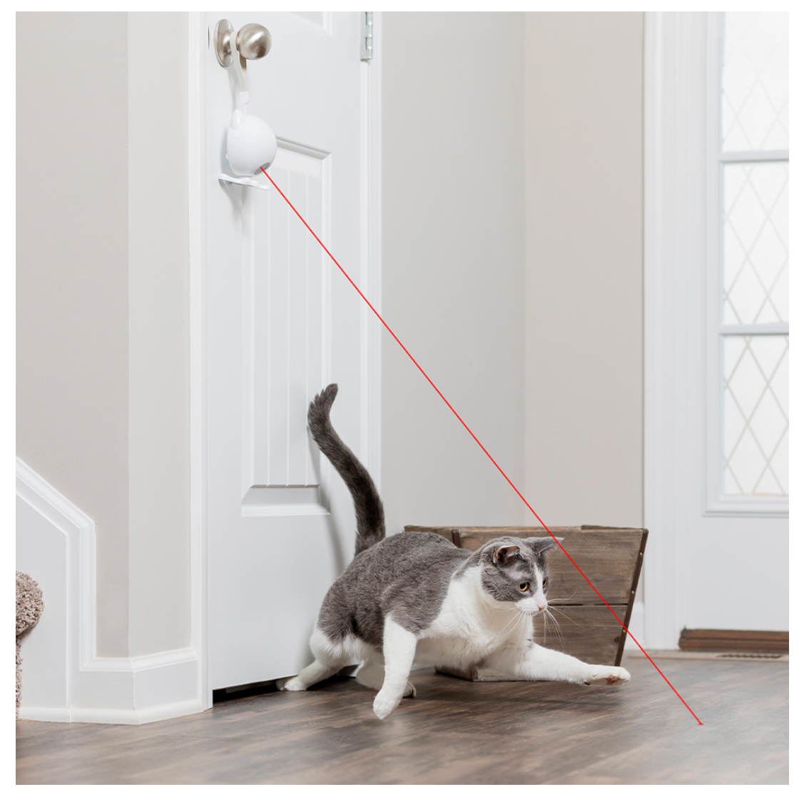 FROLICAT DANCING DOT LASER CAT TOY
