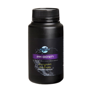BLUE PLANET PH DOWN 100G