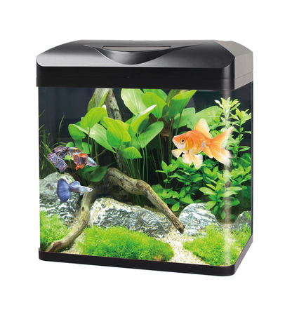 Aqua Care Aqua Care E-Series All in One Glass Curved Corner 4 Sizes available