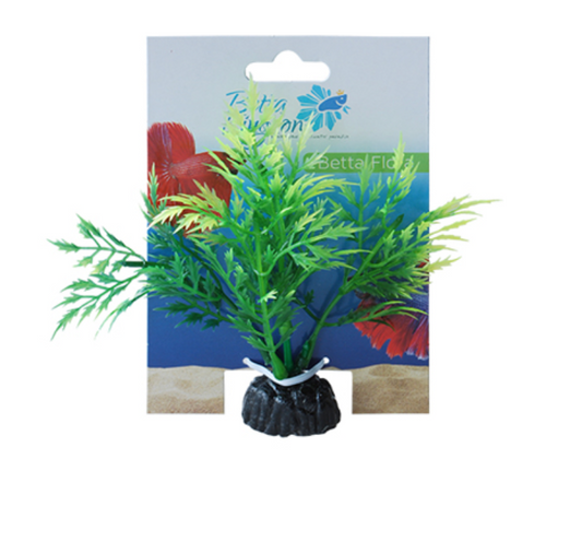 Betta Kingdom Flora Aquarium plan Green