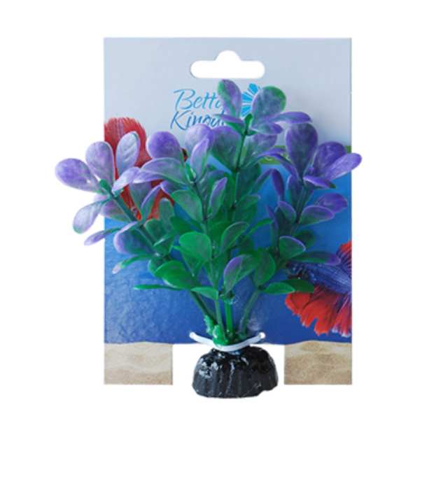 Betta Kingdom Flora Aquarium plan Green and Purple