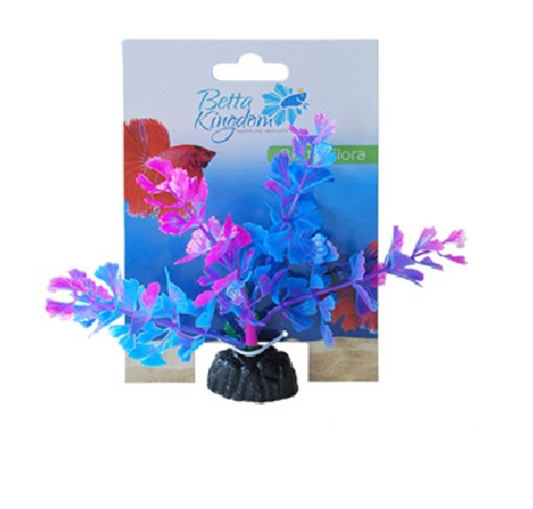 Betta Kingdom Flora Aquarium plan Blue and Pink