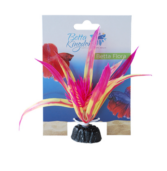 Betta Kingdom Flora Aquarium plan Pink and Yellow