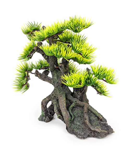 Aqua Care Aquarium Decoration Ornament Bonsai Two Size Options