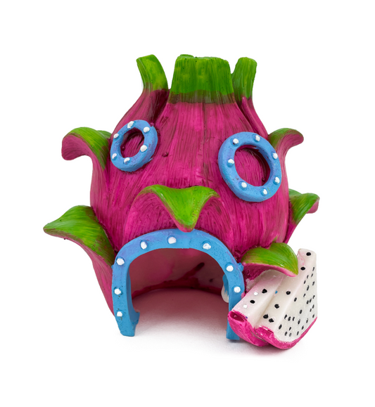 Aqua Care Aquairum Decorate ornament Dragon Fruit House