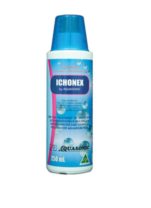 Aquasonic Ichonex Two Options