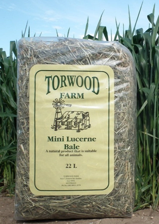 Torwood Farm Mini Lucerne Bale 22L