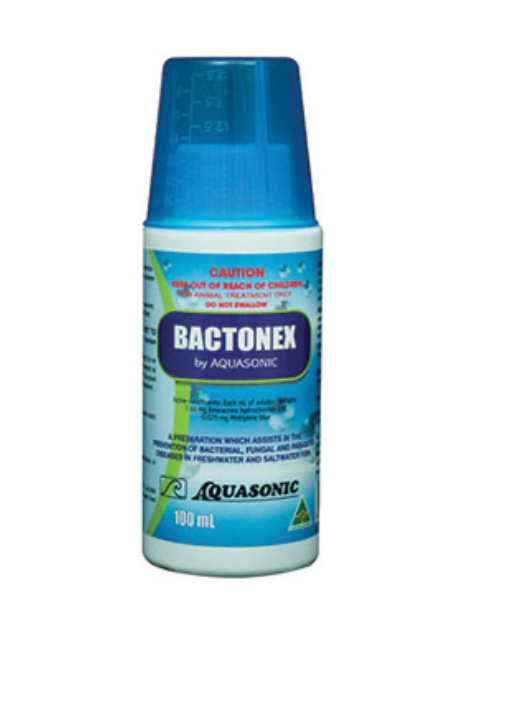 Aquasonic Bactonex Multiple Size