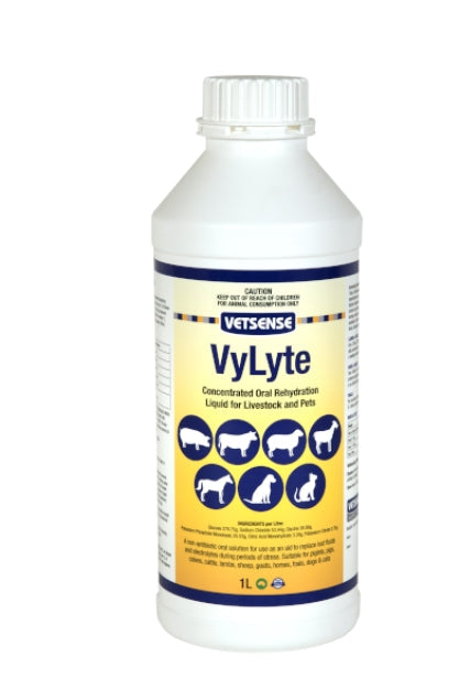 Vetsense VyLyte 1L