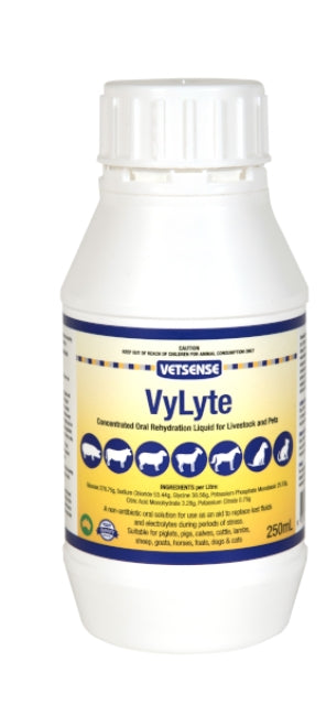 Vetsense VyLyte 250ml
