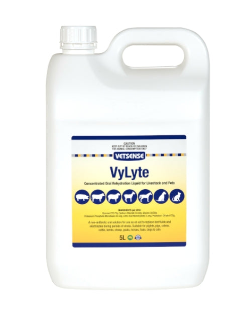 Vetsense VyLyte 5L