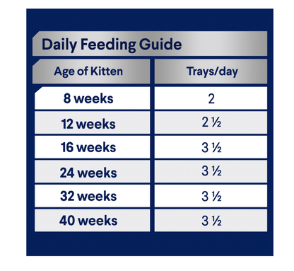 Advance Kitten Wet Tender Chicken Delight 85G Tin