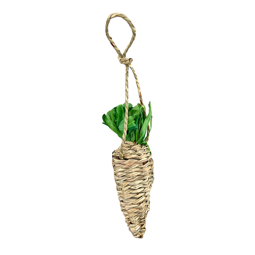 PIPSQUEAK Chew Seagrass Carrot
