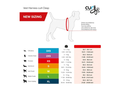 CURLI DOG HARNESS AIR-MESH BLACK 7 Sizes Available (Personalised Available for your Pets )