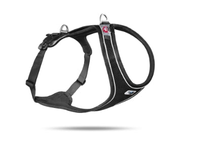 CURLI DOG HARNESS MAGNETIC BELKA COMFORT BLACK 6 Sizes Available (Personalised Available for your Pets )