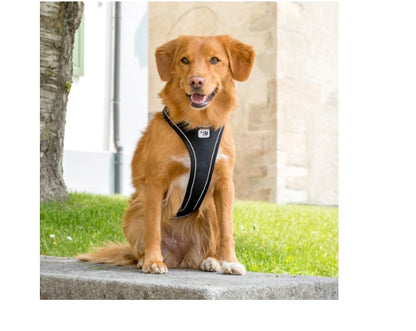 CURLI DOG HARNESS MAGNETIC BELKA COMFORT BLACK 6 Sizes Available (Personalised Available for your Pets )