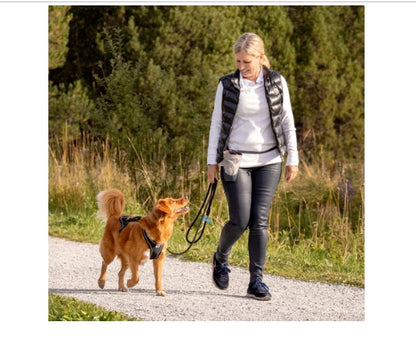 CURLI DOG HARNESS MAGNETIC BELKA COMFORT BLACK 6 Sizes Available (Personalised Available for your Pets )