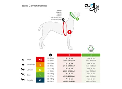 CURLI DOG HARNESS MAGNETIC BELKA COMFORT BLACK 6 Sizes Available (Personalised Available for your Pets )