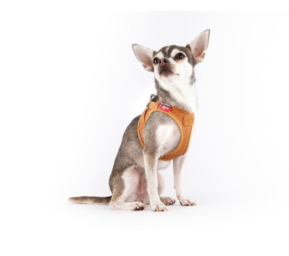 CURLI DOG HARNESS APPLE LEATHER BROWN 6 Sizes available (Personalised Available for your Pets )