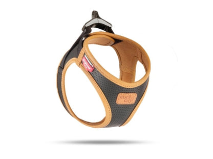 CURLI DOG HARNESS APPLE LEATHER Black 6 Sizes available (Personalised Available for your Pets )