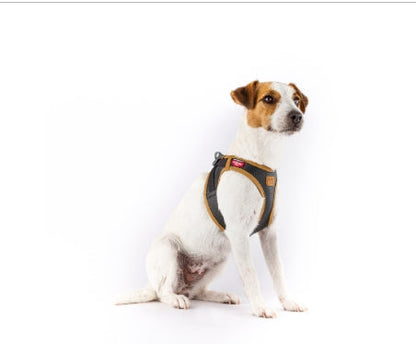CURLI DOG HARNESS APPLE LEATHER Black 6 Sizes available (Personalised Available for your Pets )