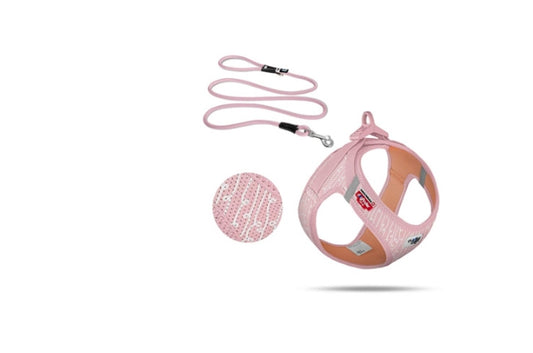 CURLI DOG LIMITED EDITION SET FONDANT Pink and 7 Sizes Available (Personalised Available for your Pets )