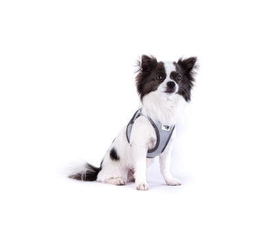 CURLI DOG HARNESS GLOW CURLI CLASP VEST REFLECTIVE GRAY 3XS (Personalised Available for your Pets )