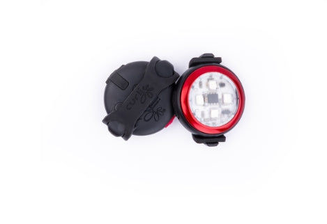 CURLI LUUMI SAFETY LED RED (Personalised Available for your Pets )