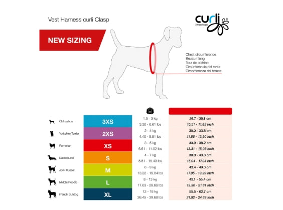 CURLI DOG HARNESS AIR-MESH Two Colors and 5 Sizes Available (Personalised Available for your Pets )