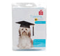 CANINE CARE DOG LEAD TRAINING Two sizes