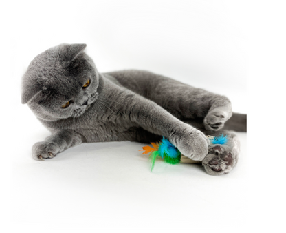 FELINE CARE CAT TOY CARDBOARD ROLLER