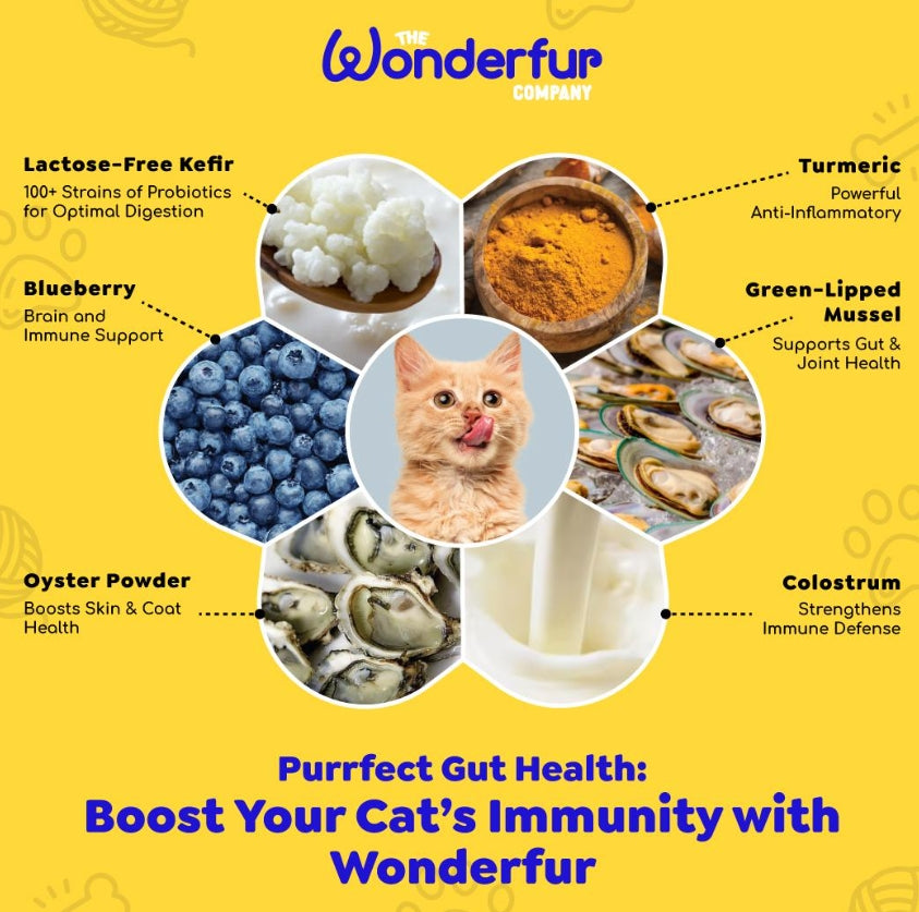 Bites Immune Booster Cat Probiotic Yogurt Freeze Dried Chews