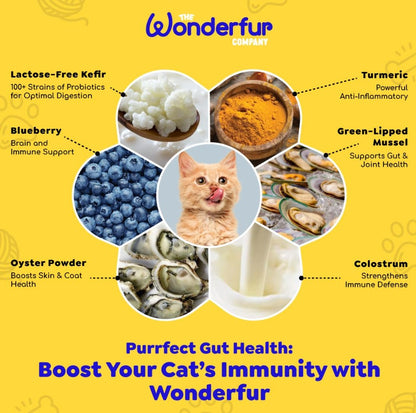 Bites Immune Booster Cat Probiotic Yogurt Freeze Dried Chews