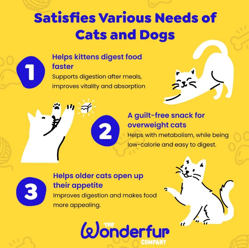 Bites Immune Booster Cat Probiotic Yogurt Freeze Dried Chews