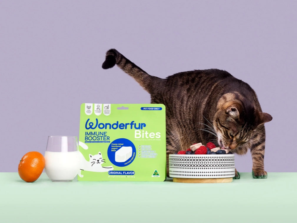 Bites Immune Booster Cat Probiotic Yogurt Freeze Dried Chews