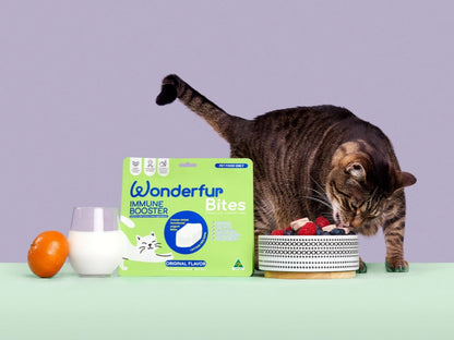 Bites Immune Booster Cat Probiotic Yogurt Freeze Dried Chews