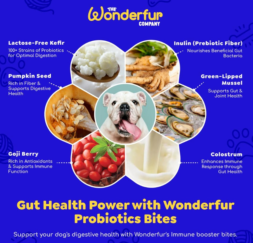 Bites Immune Booster Dog Probiotic Yogurt Freeze Dried Chews