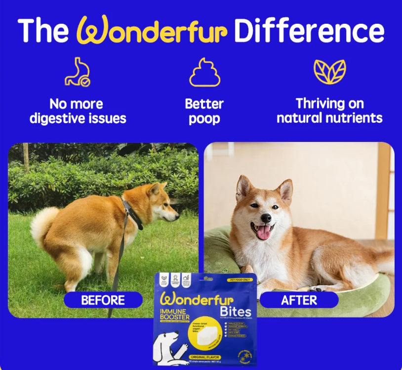 Bites Immune Booster Dog Probiotic Yogurt Freeze Dried Chews