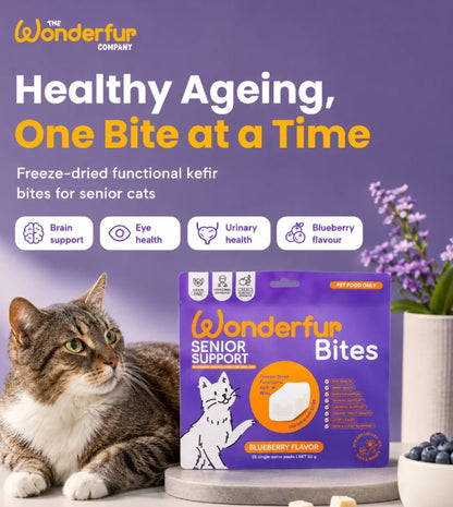 Bites Senior Support Cat Probiotic Yogurt Freeze Dried Chews 25 Single Serve Per Pack