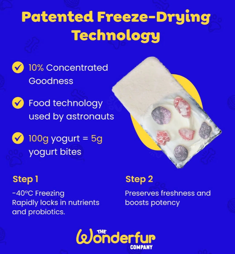Bites Senior Support Cat Probiotic Yogurt Freeze Dried Chews 25 Single Serve Per Pack