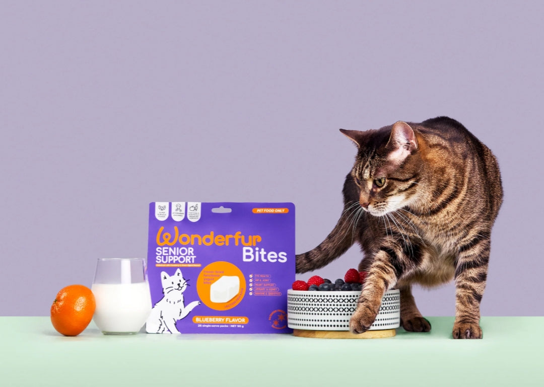 Bites Senior Support Cat Probiotic Yogurt Freeze Dried Chews 25 Single Serve Per Pack