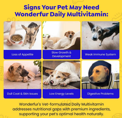 Daily Multi Vitamin Powder For Dogs And Cats 200g
